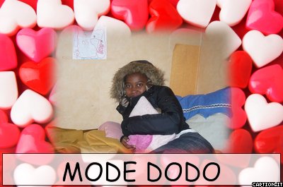 DODO